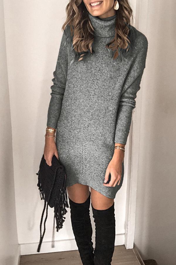 Turtle Neck Solid Color Knitted Dress