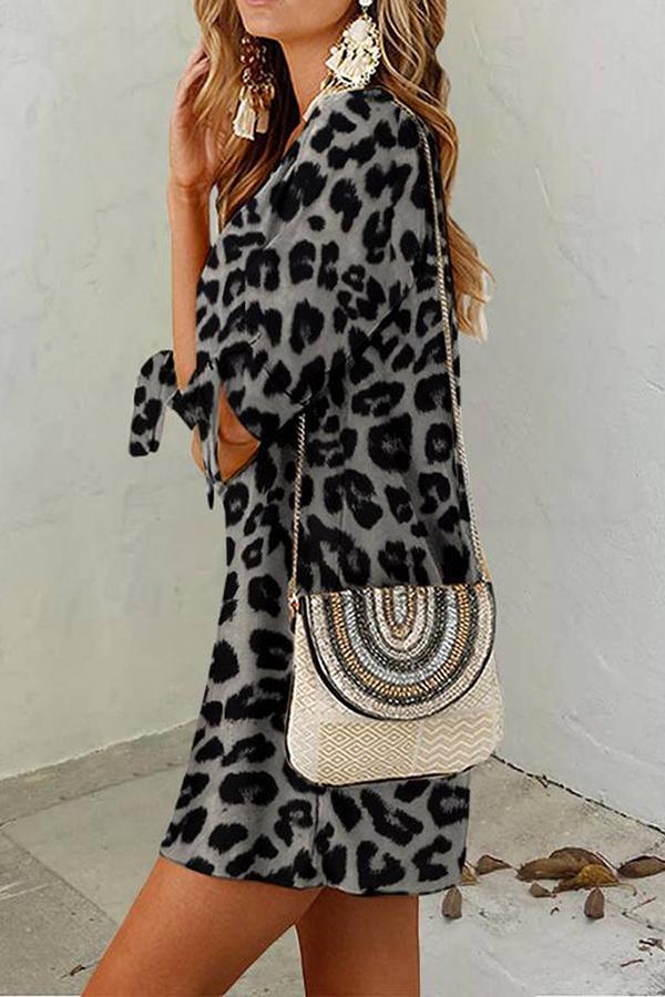 Leopard Print Round Neck Dress