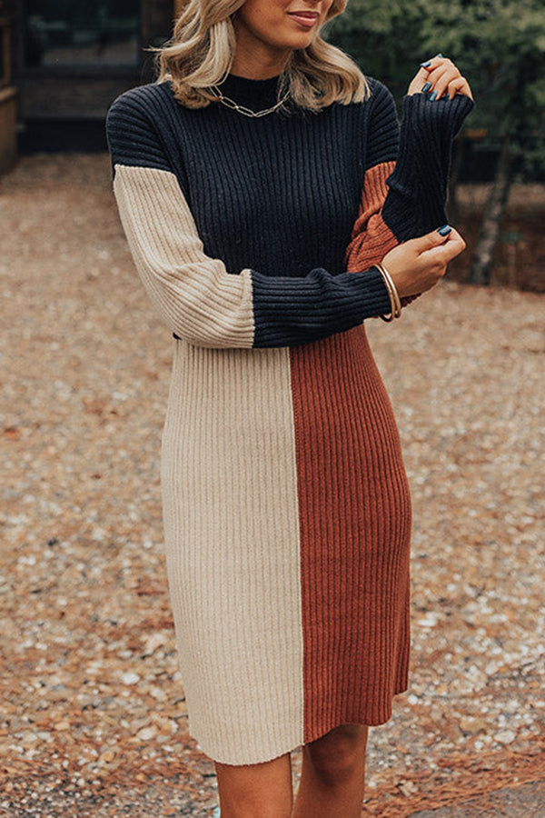 Cozier Than Most Colorblock Sweater Dress