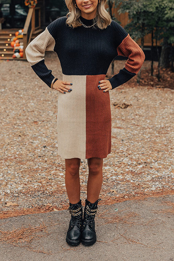 Cozier Than Most Colorblock Sweater Dress