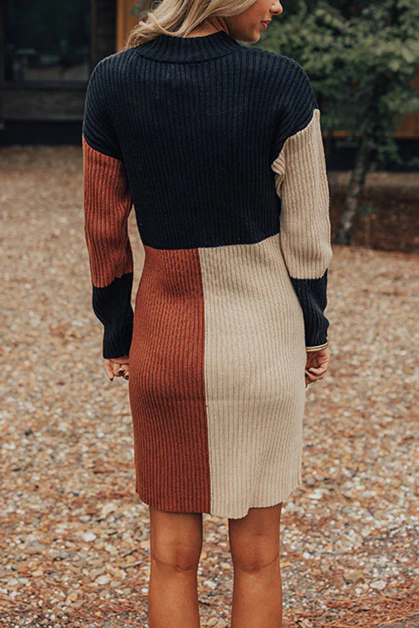 Cozier Than Most Colorblock Sweater Dress