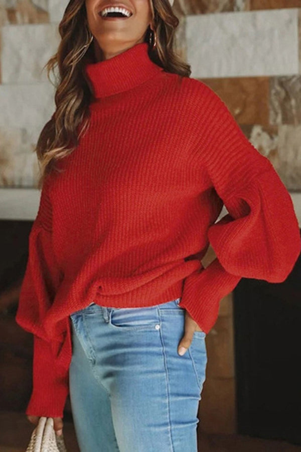 Turtleneck Solid Color Long Sleeve Sweater