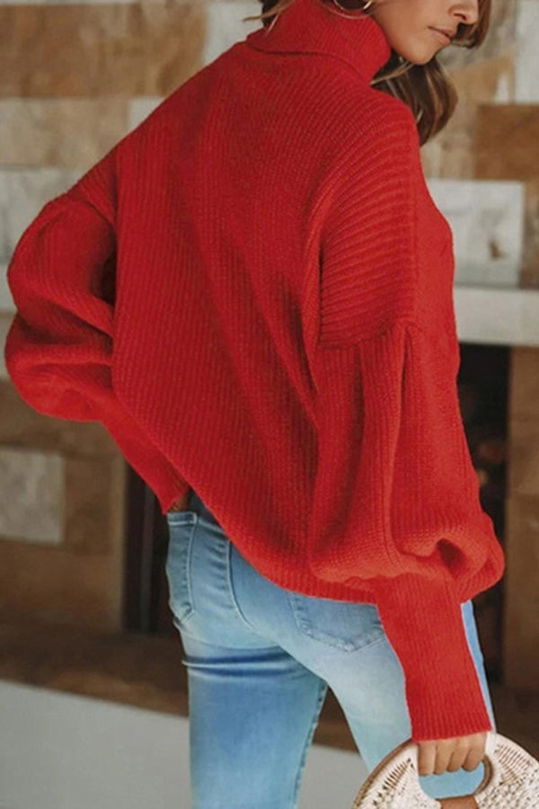 Turtleneck Solid Color Long Sleeve Sweater