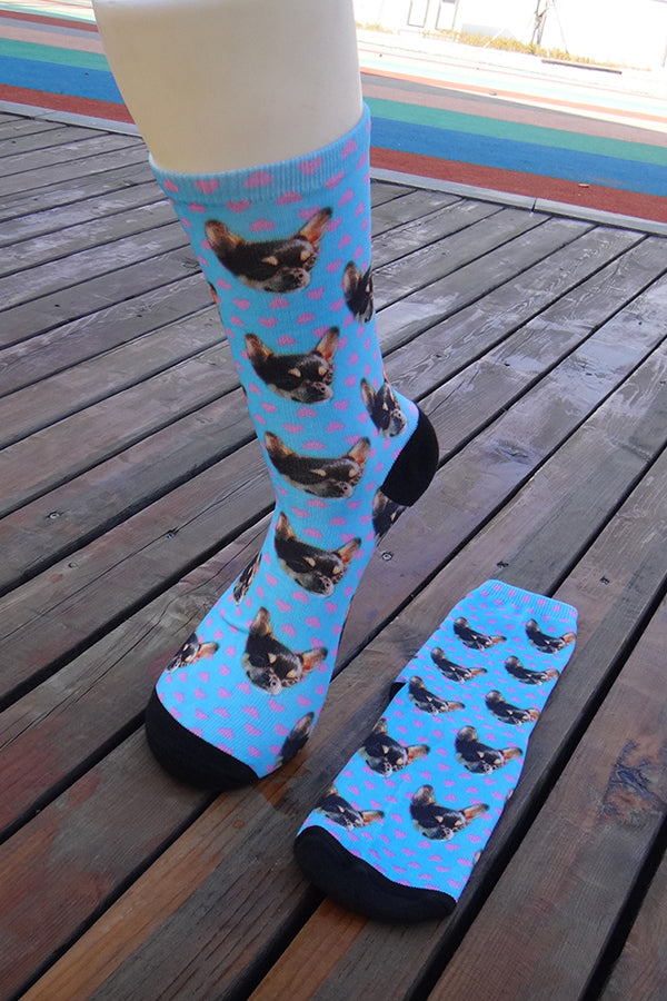 Cute Cats and Dogs Fun Printed Socks