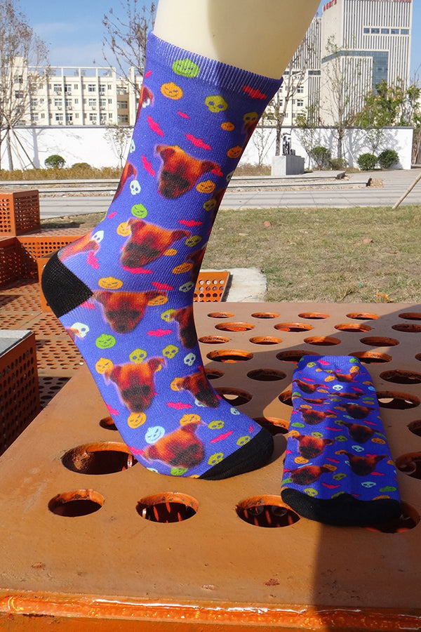 Cute Cats and Dogs Fun Printed Socks