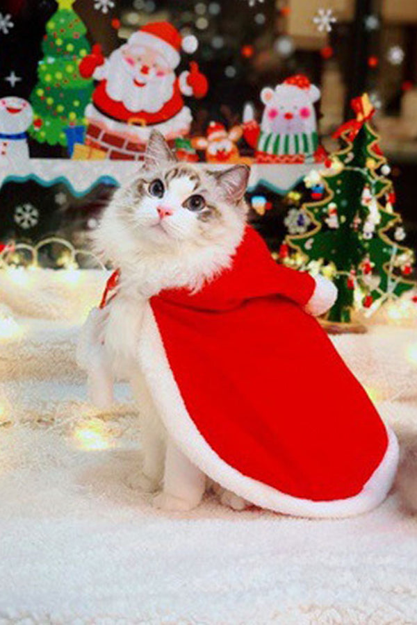 Cat Christmas Cape