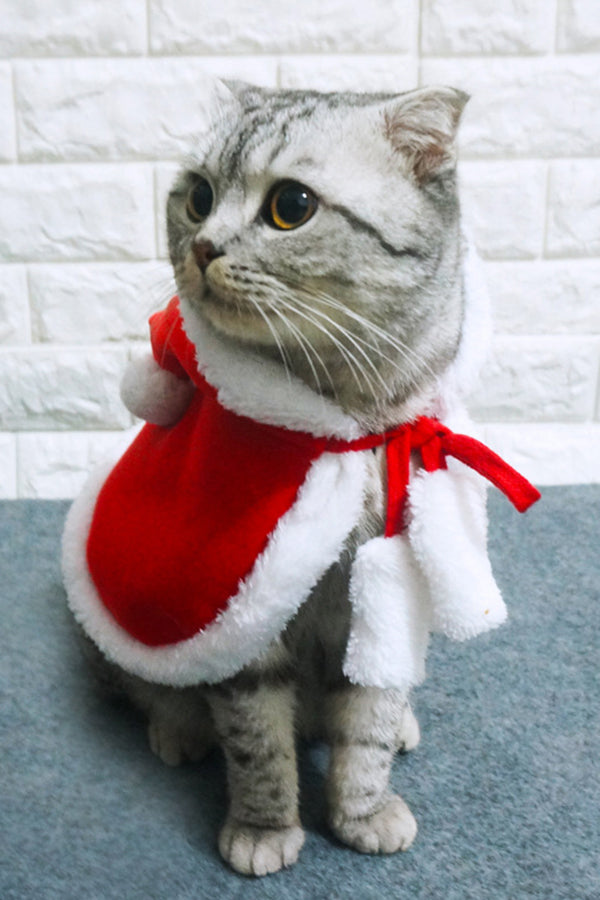 Cat Christmas Cape