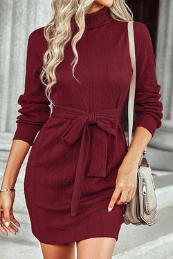 Thermal Turtleneck Lace-Up Hip Dress