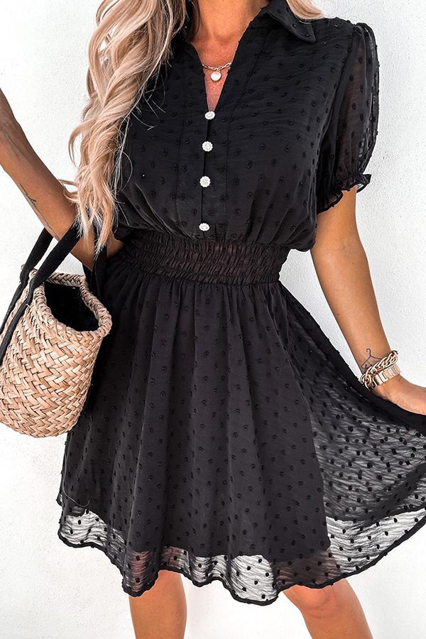 Black Mesh Lace Polka Dot Mini Dress