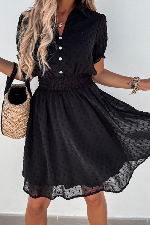 Black Mesh Lace Polka Dot Mini Dress