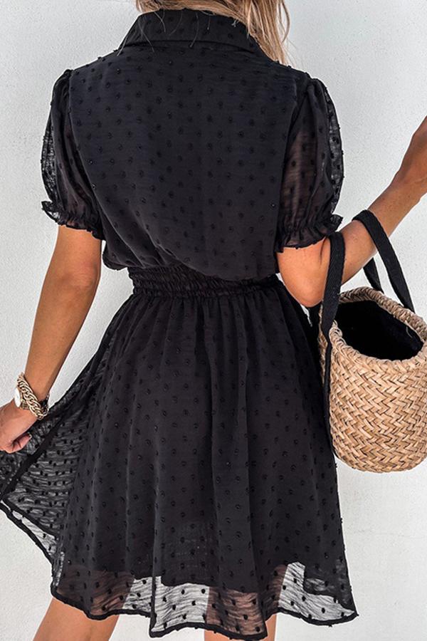 Black Mesh Lace Polka Dot Mini Dress