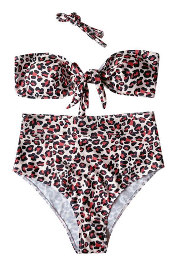 Leopard Tube-top Bikini Lace Two-piece Swimsuit