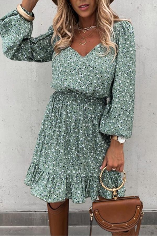 Long Sleeve Elastic Waist Ruffle Print Dress