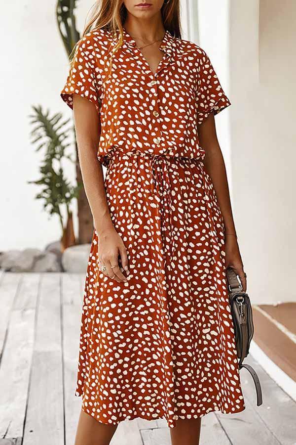 Polka Dot Short Sleeve Dress