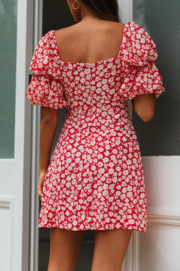 Floral Print Princess Collar Puff Sleeve Mini Dress